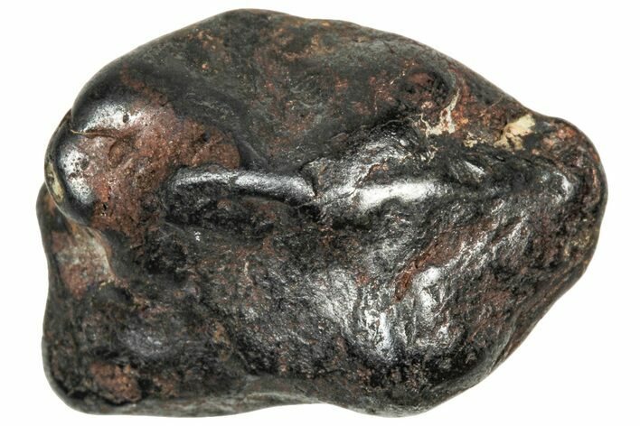 Agoudal Iron Meteorite ( g) - Morocco #303921